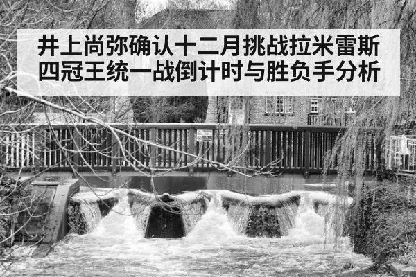 井上尚弥确认十二月挑战拉米雷斯 四冠王统一战倒计时与胜负手分析